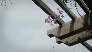 DSCF4379-6