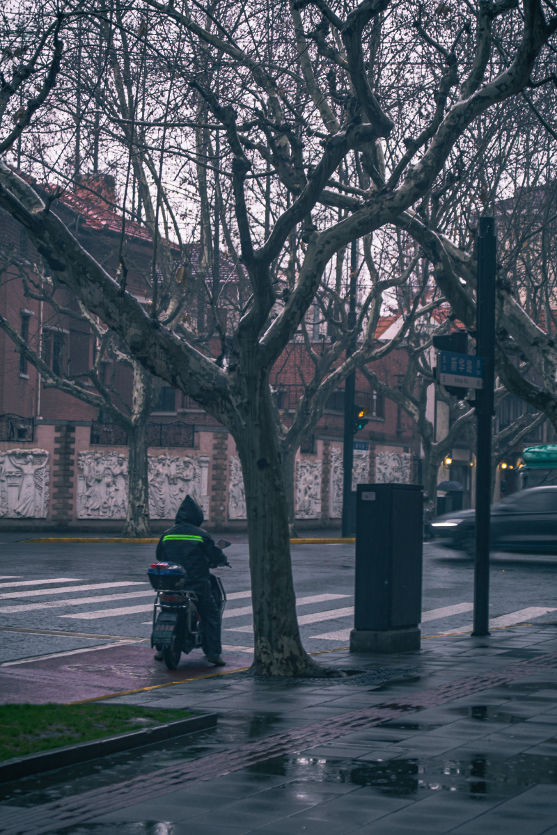 上海的雨天