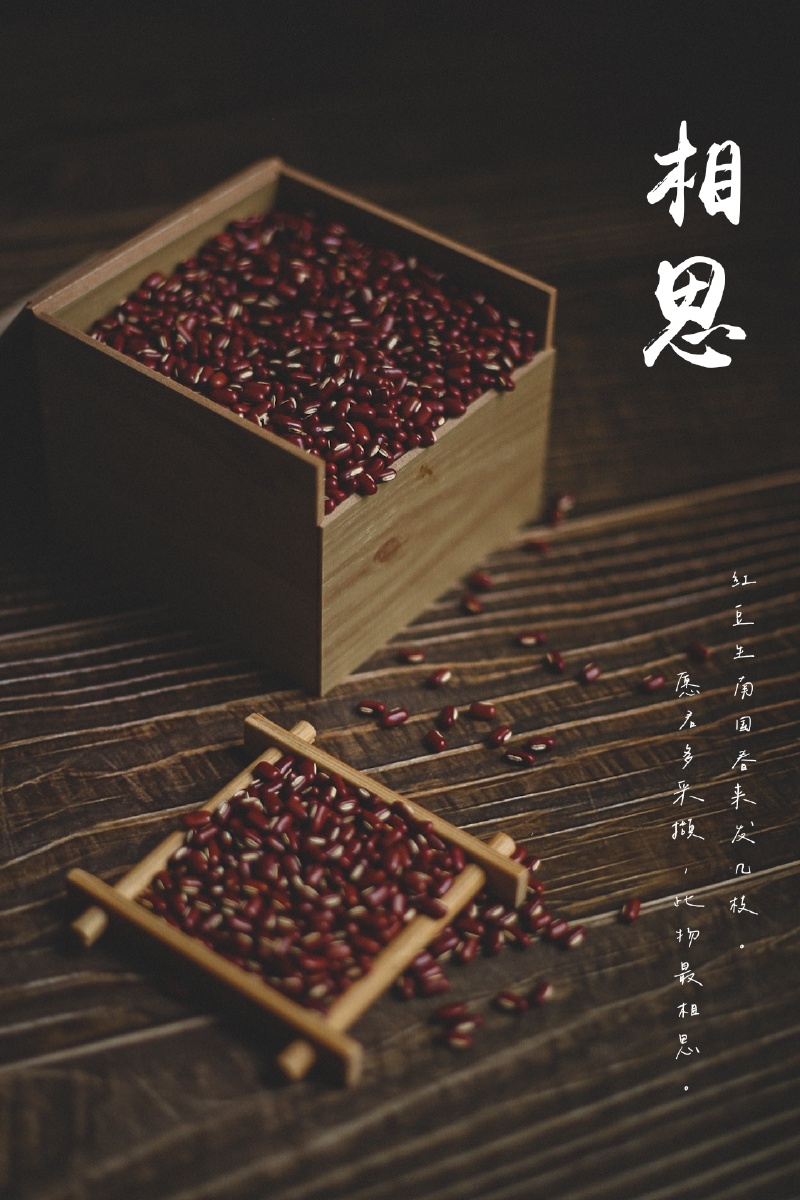 相思红豆生南国春来发几枝愿君多采撷此物最相思