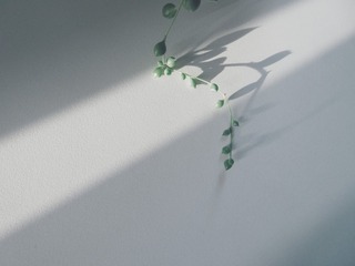 574491