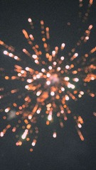 1000031401