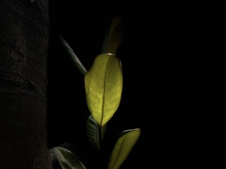 0A1496FE-C009-44C5-9D02-66706F041D97/L0/001