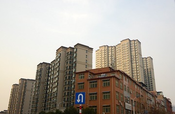 2616623