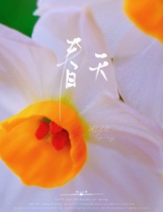 1E92AA8B-0F0E-4B31-9373-165884D1A09A/L0/001