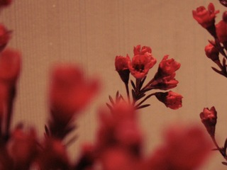 9D93137E-09F9-48BC-B9D2-1DDD52CC3909/L0/001