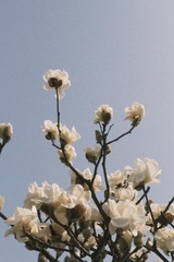 7634DC8F-B70C-4CE4-AAD5-1EF23AB0A5EC/L0/001
