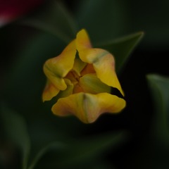 D0179AFC-7BFD-47B4-B3AD-A56255065E3A/L0/001