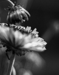E1BBC121-0246-450D-A6DC-57C3C6FF491F/L0/001