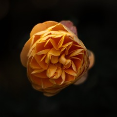 6A0383E4-A8BC-4250-BF58-CC93D182599F/L0/001