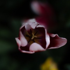 388584CF-12DC-4D94-8CD8-91410F05AB5B/L0/001