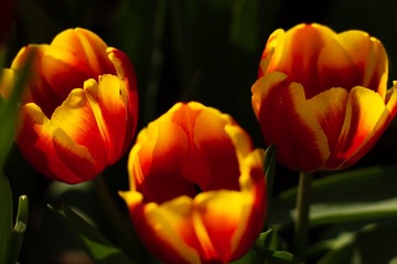 F865E9A2-5BB3-45B1-8D34-040C5C7C2484/L0/001