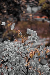 C28FE538-2038-45AF-A4F2-5E55ED6F3FB1/L0/001
