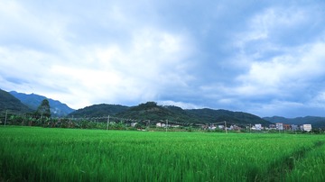 80AC7C1D-A9C7-4F6C-96A5-47A058A72B2A/L0/001