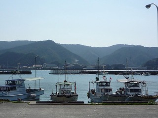 P1000317