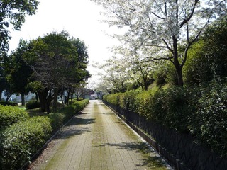 P1000323