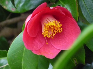 P1000972