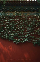 988832