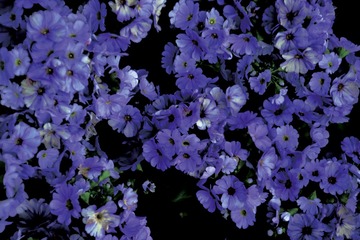 CB605120-5F7C-4363-9097-41A3C880CB60/L0/001