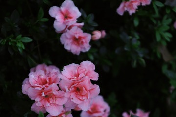 039E7A90-9A4C-4EBA-8784-46FCEC9C30EE/L0/001