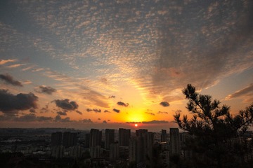 DSC06986-1