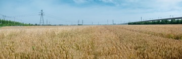 _DSC0871-Pano-1