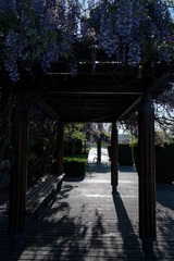 DSC04372-1