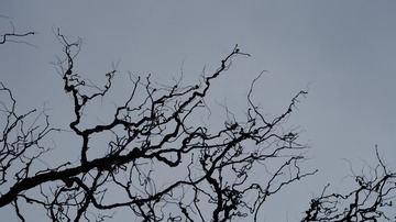94253191-7E3C-471E-9096-D7FD4E4EDF90/L0/001