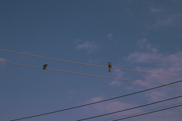 2399071