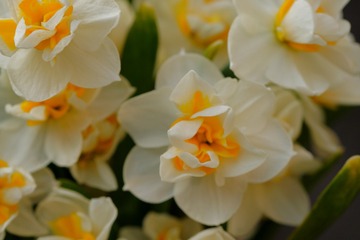 3C9D939E-5F34-4825-9344-BB9727B1D4D2/L0/001