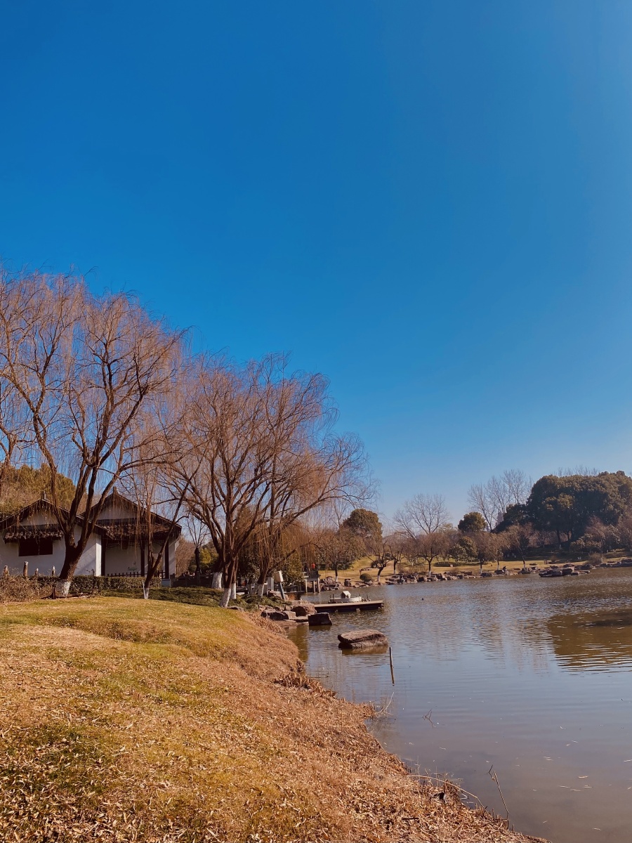 杭州冬天公园里