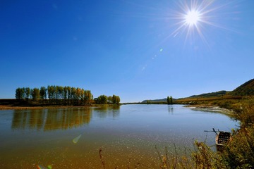 20085