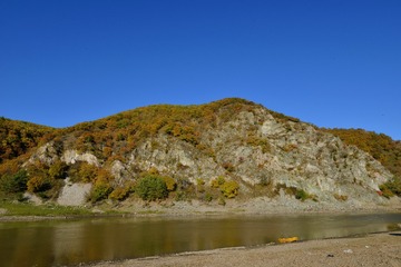 20088