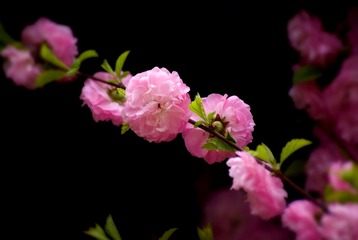 AF580895-B707-42E2-885A-6C75BA851BD7