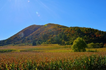 20093