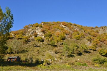 20086