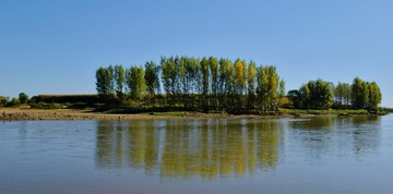 20089