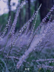 4B1C2401-3FAA-49FD-8C2F-9C0C735A795E/L0/001