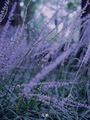 5D0C24F1-DA4A-4D0D-BE1F-78047B4D6CB4/L0/001