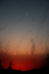 1000035593