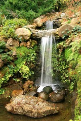 Hakone Falls 1