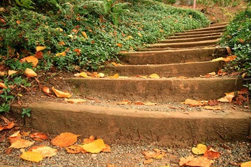 Hakone Stairs