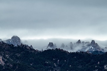 _DSC1732