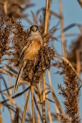 _DSC4871