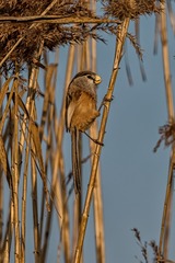 _DSC5075