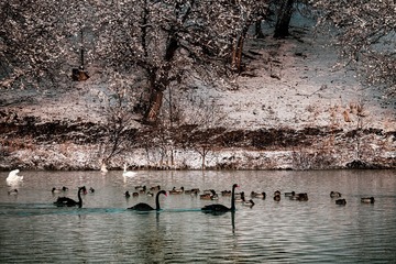 _DSC5635