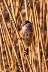 _DSC4805