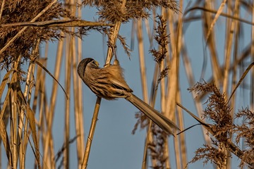 _DSC5054