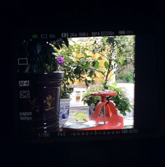 1204274