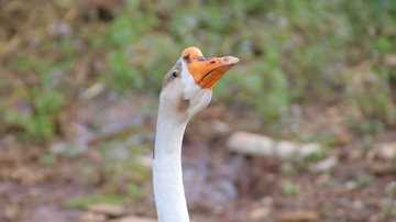 9221