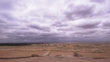 2290764